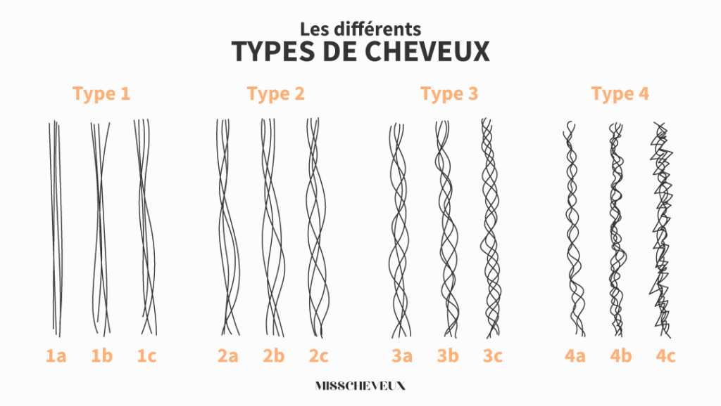 illustration des 4 différents types de cheveux