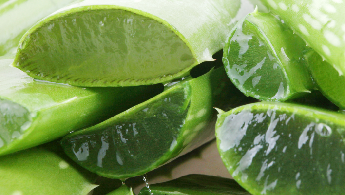 aloe vera pour remplacer shampoing