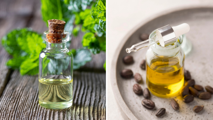 huile essentielle de menthe poivrée et huile de jojoba pour bain d'huile capillaire