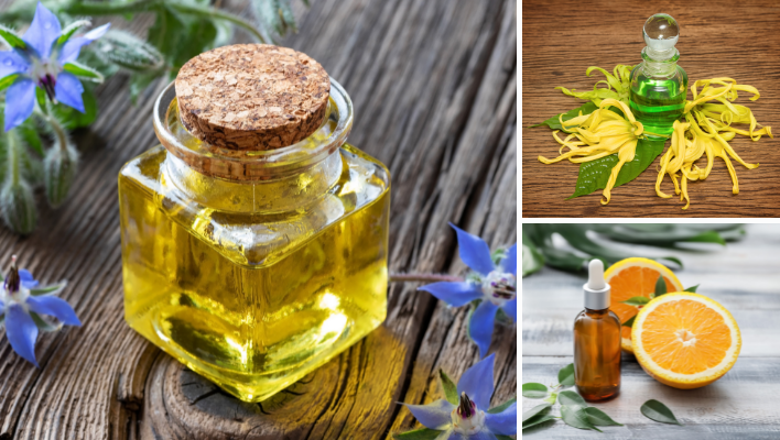 huile de bourrache, huile essentielle d'ylang-ylang et huile essentielle d'orange pour bain d'huile capillaire