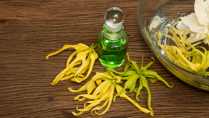 huile essentielle d'ylang-ylang pour les cheveux gras