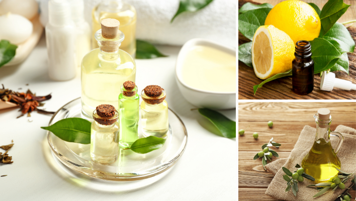 ingrédients pour masque capillaire avec de l'huile d'olive et de l'huile essentielle de tea tree et de citron