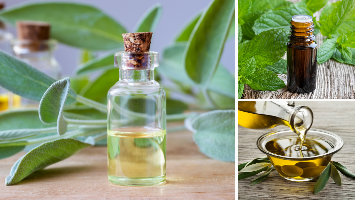 huile essentielle de sauge, de romarin et huile d'olive pour soin capillaire